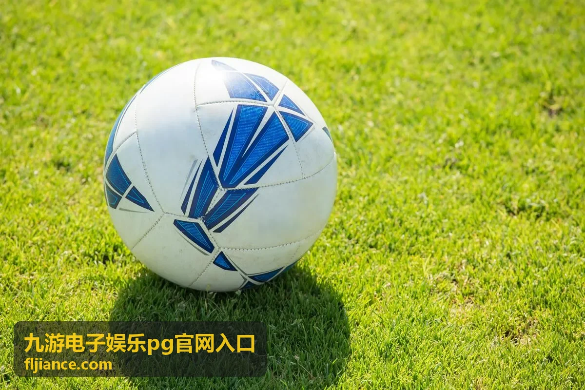九游电子娱乐游戏库分类图