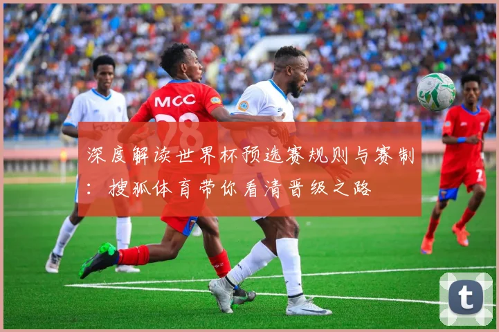 深度解读世界杯预选赛规则与赛制：搜狐体育带你看清晋级之路